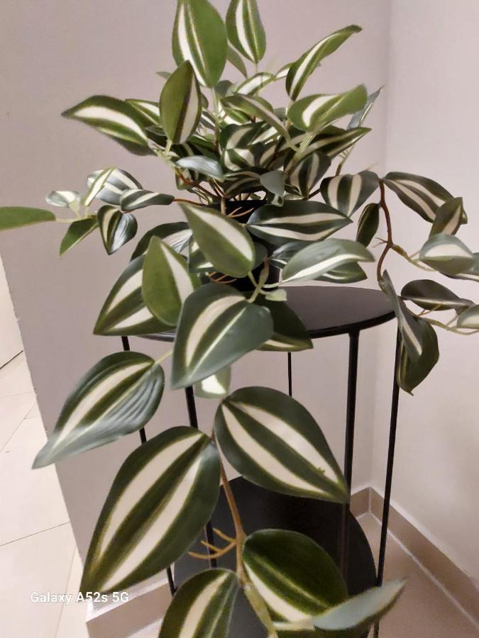 Appartement Am Uni Park Koeln Suelz Екстер'єр фото